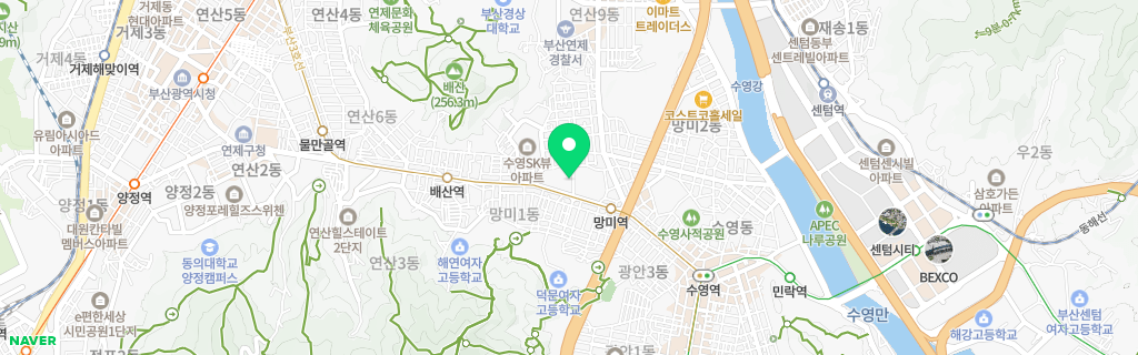 부산 망미 네이버 지도