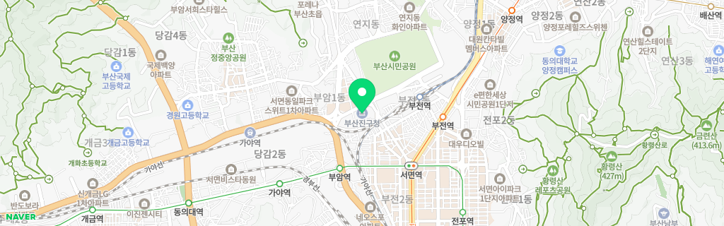 부산 부산진구 네이버 지도