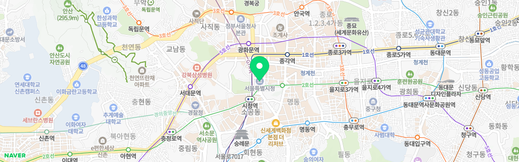 서울 네이버 지도