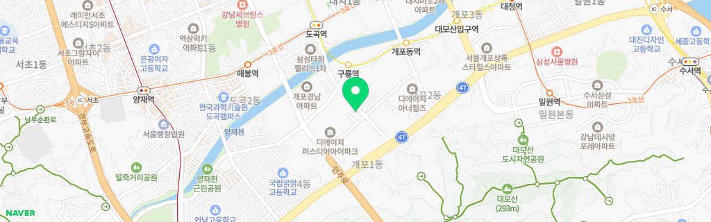 서울 개포 네이버 지도