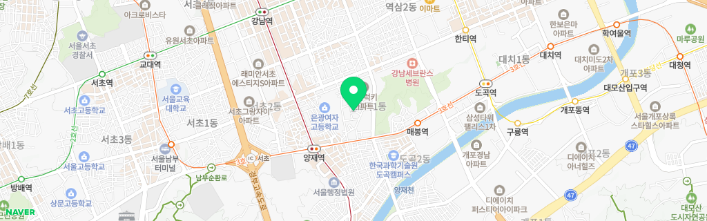 서울 도곡 네이버 지도
