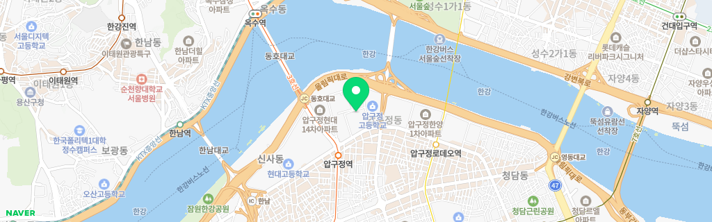 서울 압구정 네이버 지도