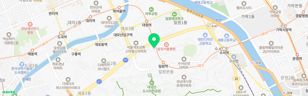서울 일원 네이버 지도