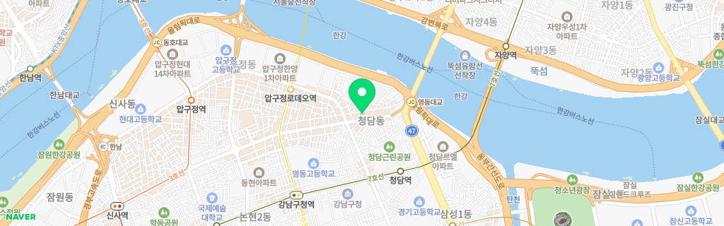서울 청담 네이버 지도
