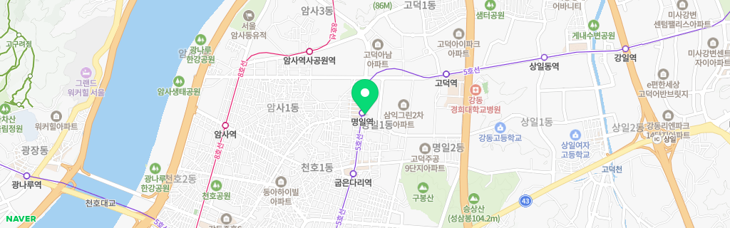 서울 명일 네이버 지도