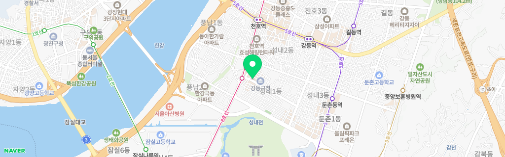 서울 성내 네이버 지도