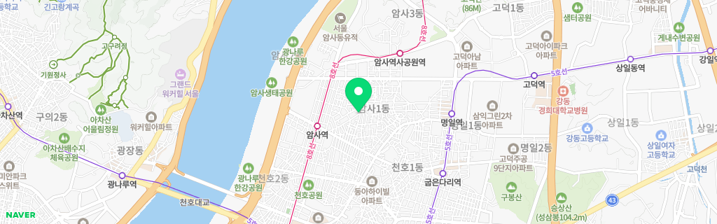 서울 암사 네이버 지도