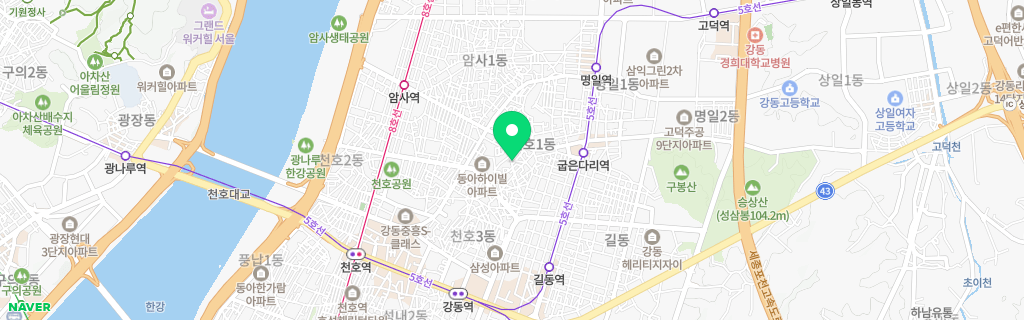 서울 천호 네이버 지도