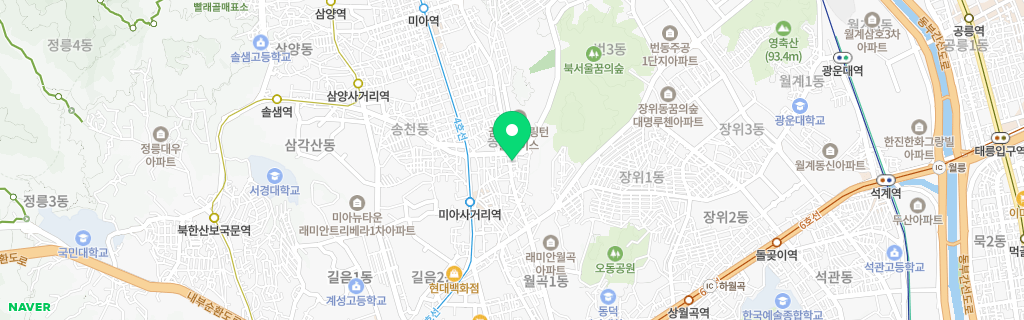 서울 송중 네이버 지도