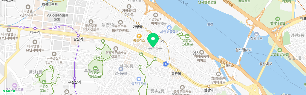 서울 등촌 네이버 지도