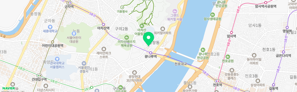 서울 광장 네이버 지도
