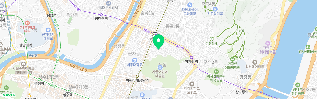 서울 능동 네이버 지도