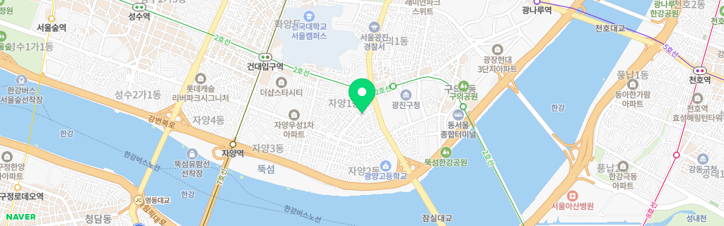 서울 자양 네이버 지도