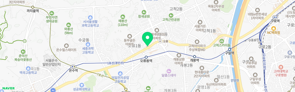 서울 오류 네이버 지도