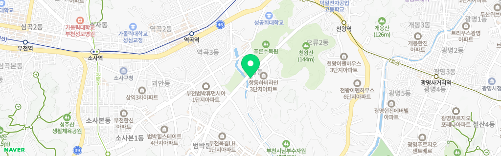 서울 항동 네이버 지도