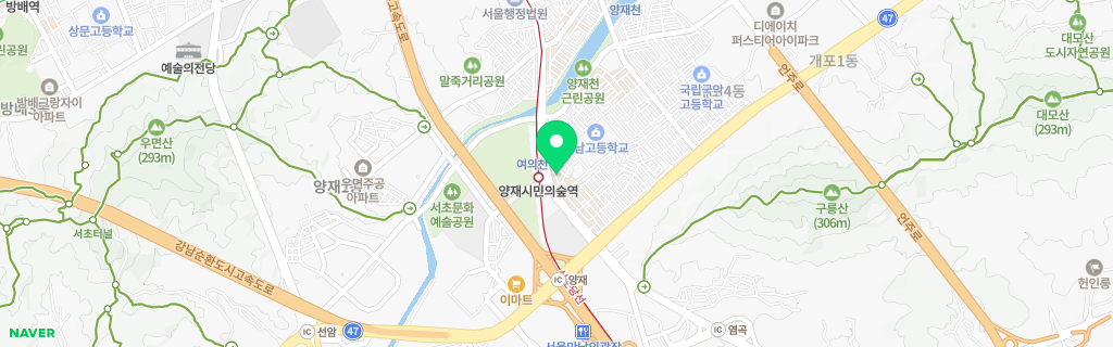 서울 양재 네이버 지도