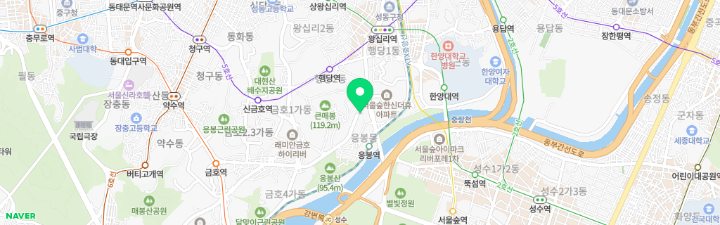 서울 응봉 네이버 지도