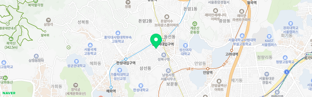 서울 삼선 네이버 지도