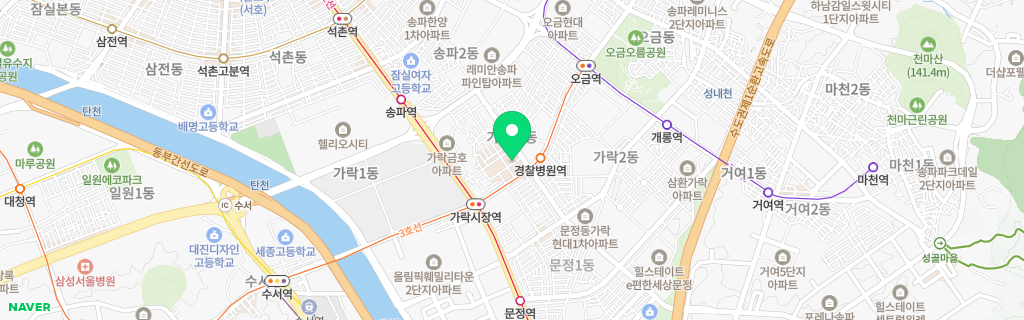 서울 가락 네이버 지도
