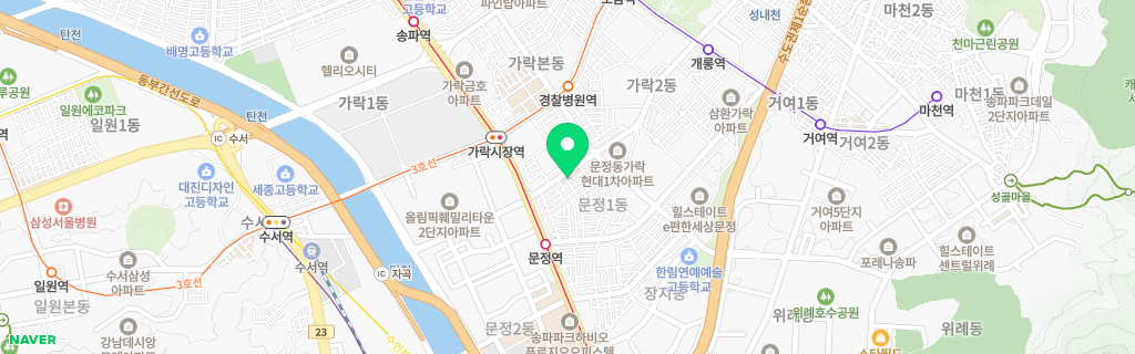 서울 문정 네이버 지도