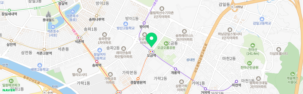 서울 오금 네이버 지도