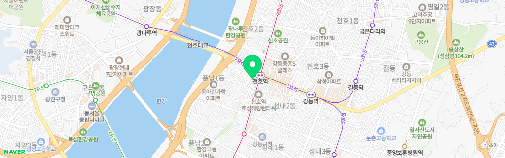서울 풍납 네이버 지도