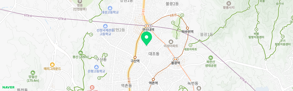 서울 대조 네이버 지도