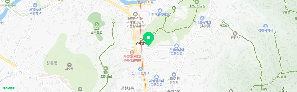 서울 진관 네이버 지도