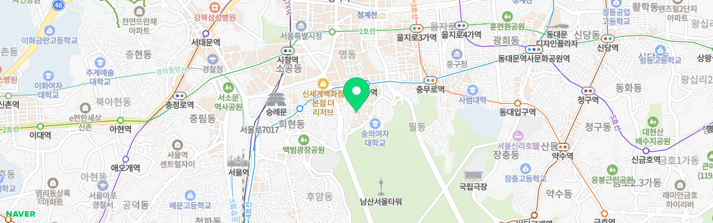 서울 명동 네이버 지도