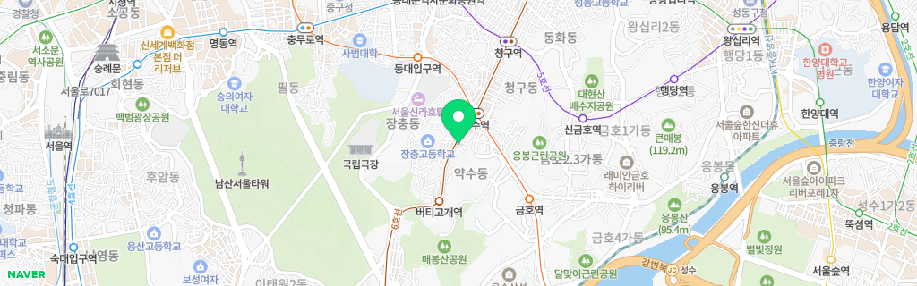 서울 약수 네이버 지도