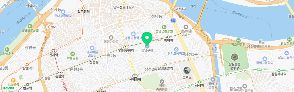 서울 강남구 네이버 지도