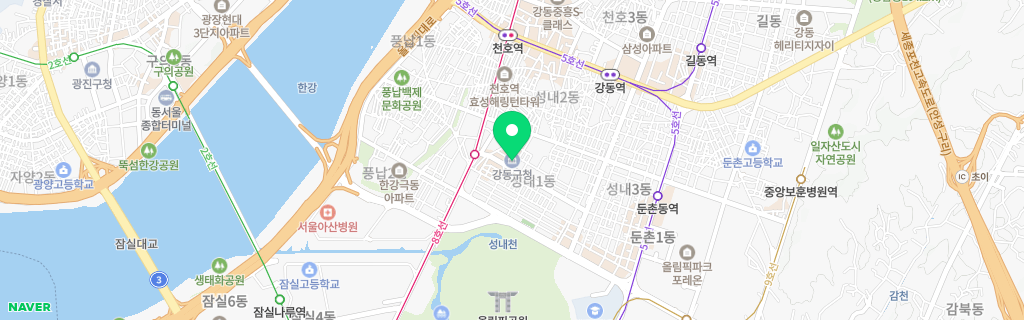 서울 강동구 네이버 지도