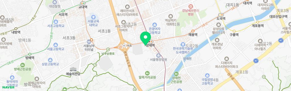 서울 서초구 네이버 지도