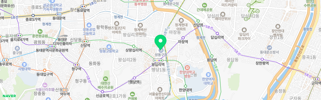 서울 성동구 네이버 지도