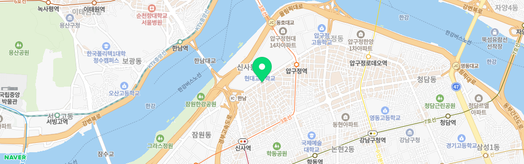 신사동 네이버 지도
