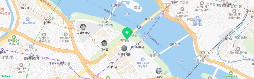 여의도 네이버 지도