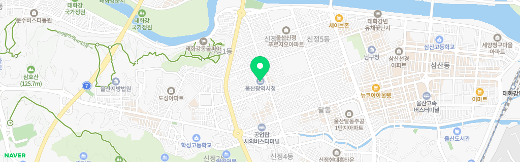 울산 네이버 지도
