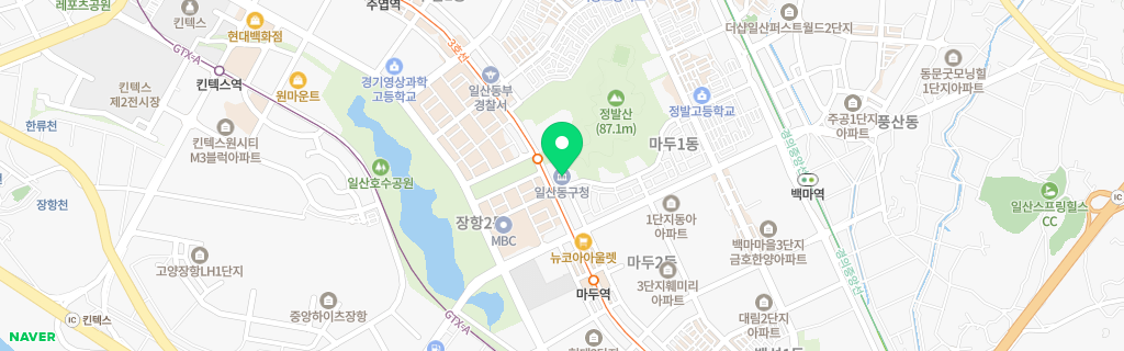 일산 네이버 지도