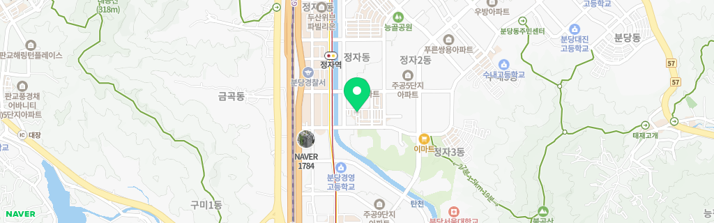 정자동 네이버 지도