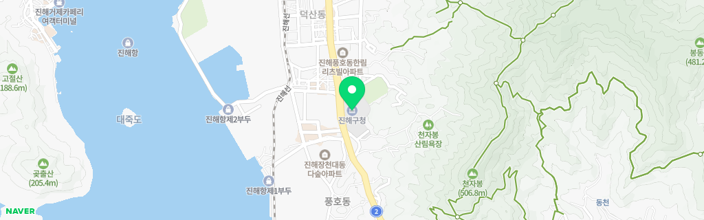 진해 네이버 지도