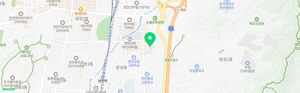 천안 신안 네이버 지도