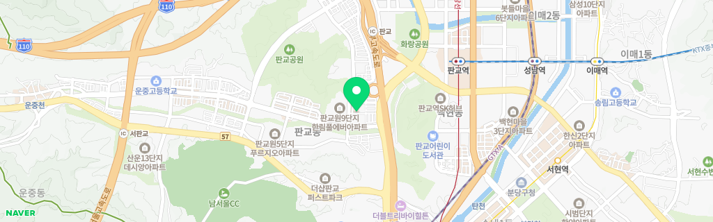판교 네이버 지도