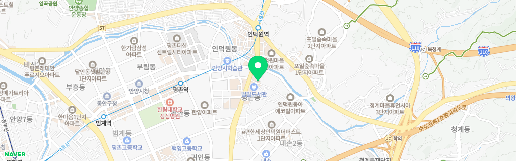 평촌 네이버 지도