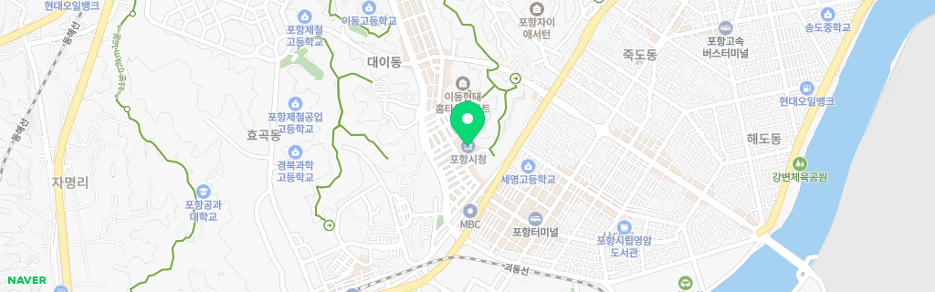 포항 네이버 지도