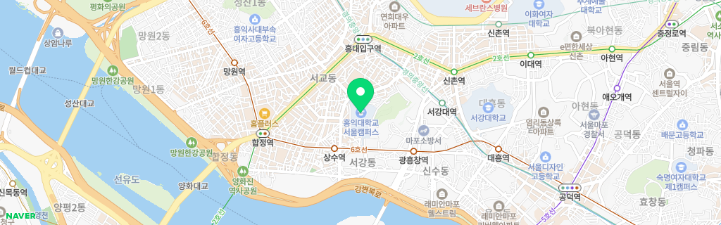 홍대 네이버 지도